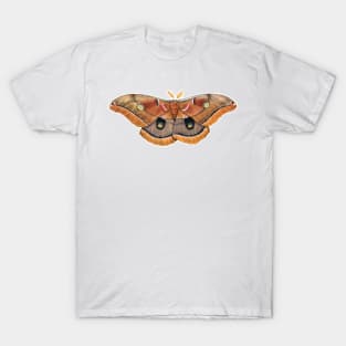 Polyphemus Moth T-Shirt